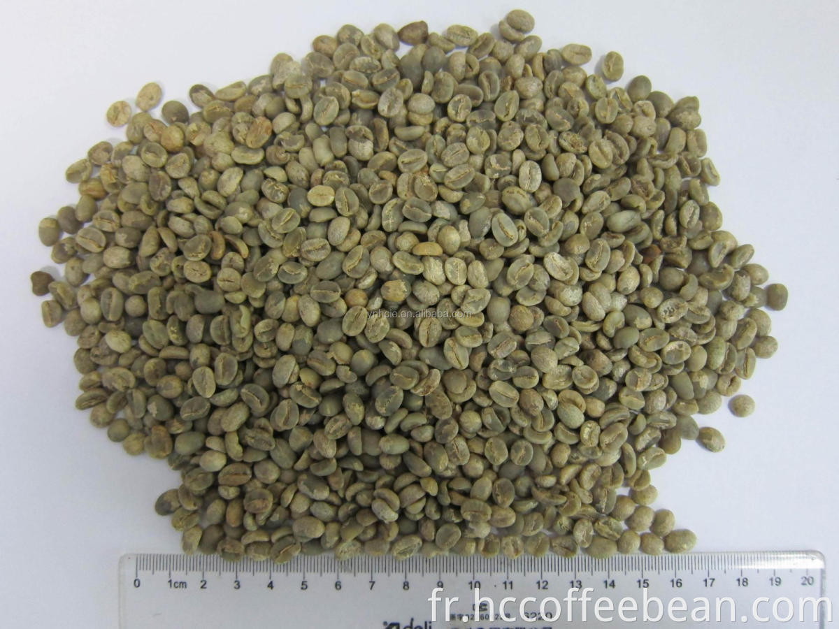 Grains de café verts lavés du yunnan arabica chinois, catégorie A, écran 15-16